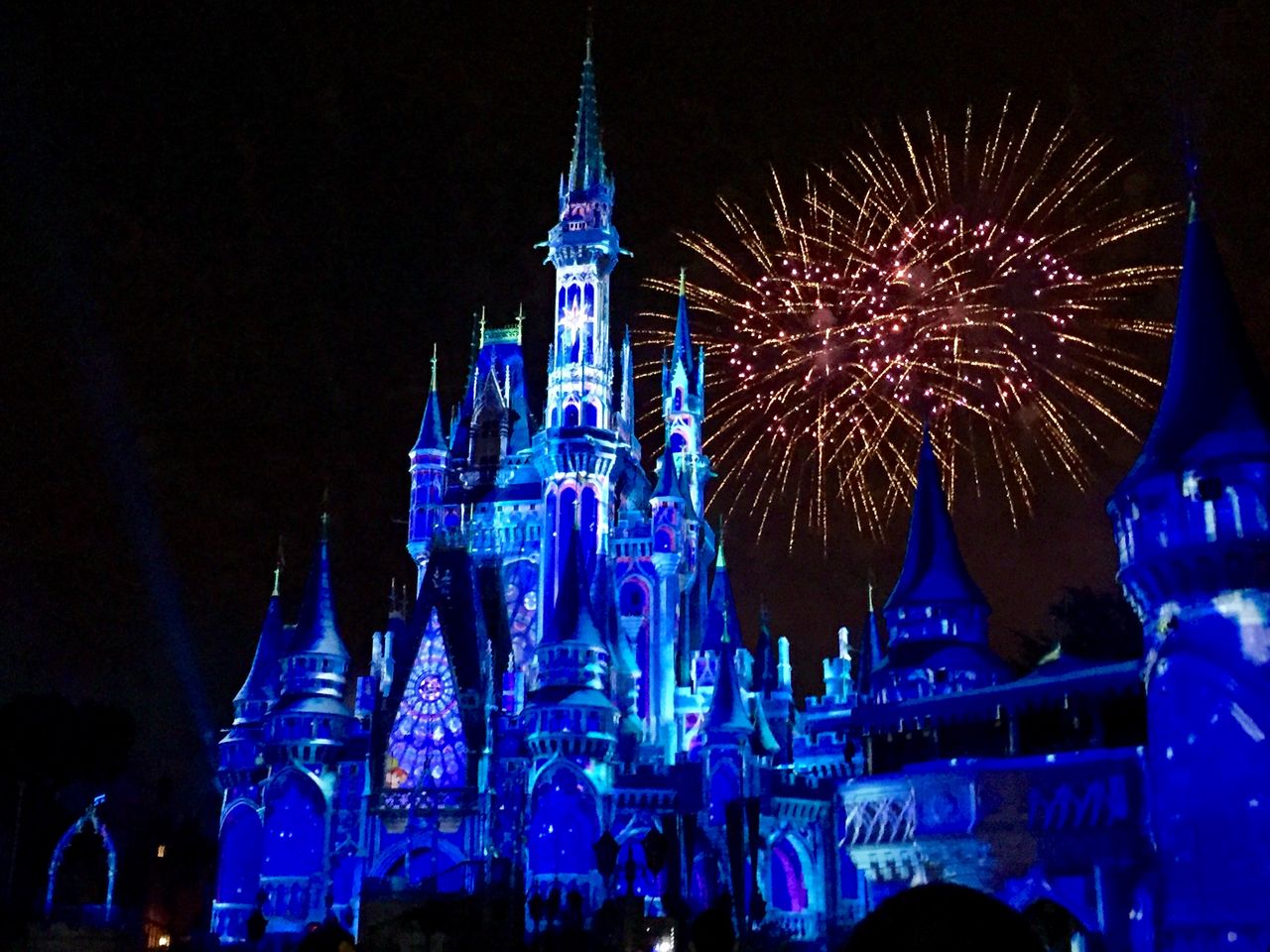 ディズニーワールド マジックキングダムに行ってきた アメリカ19日目 アーリーリタイアして世界一周しよう わたしの戦略会議室
