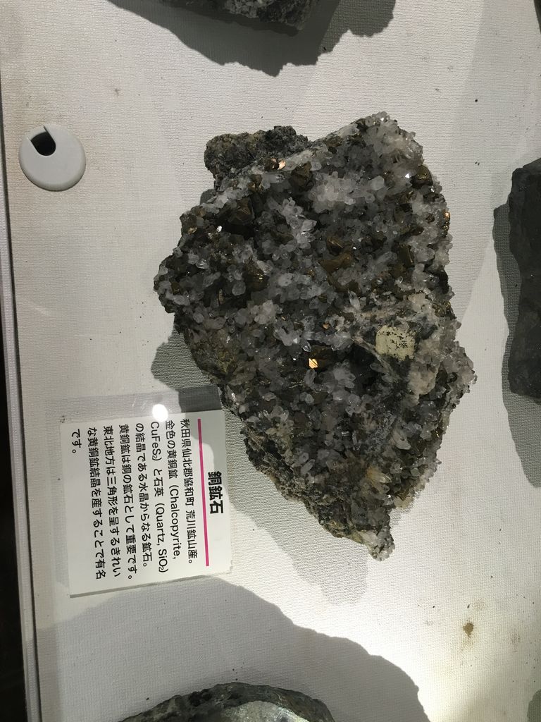東北大学 理化学館 鉱石編 大学生の化学の日常 東北大学 理化学館 鉱石編 大学生の化学の日常