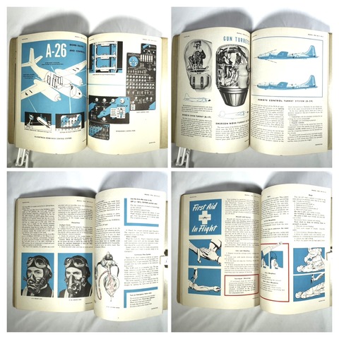 50B1EB1C-5657-49D8-B53C-034A65F09545-COLLAGE