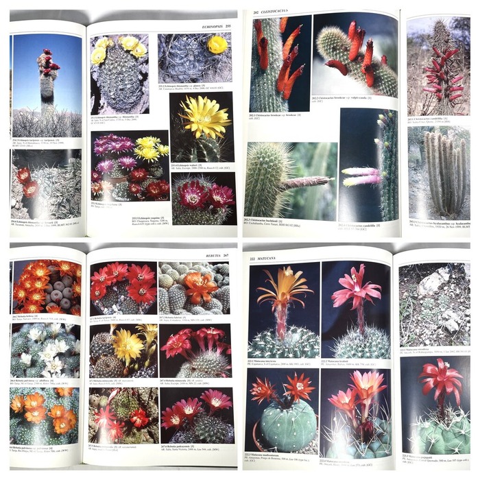 28B4151C-B27F-4176-A491-DBE464BB95E3-COLLAGE