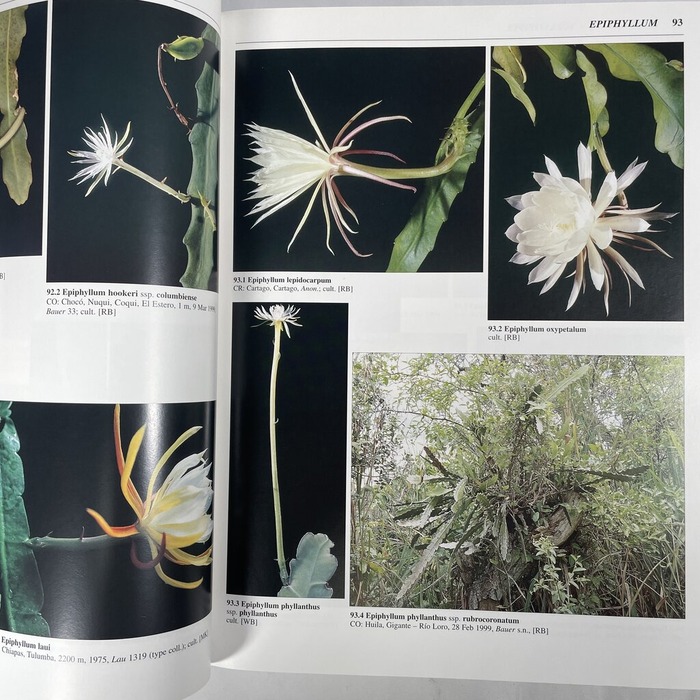 2026-03-25_17-19-04_870