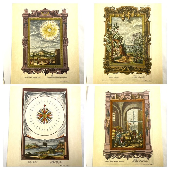 58B43E42-9DA3-4295-9F74-9C6C454F0B62-COLLAGE
