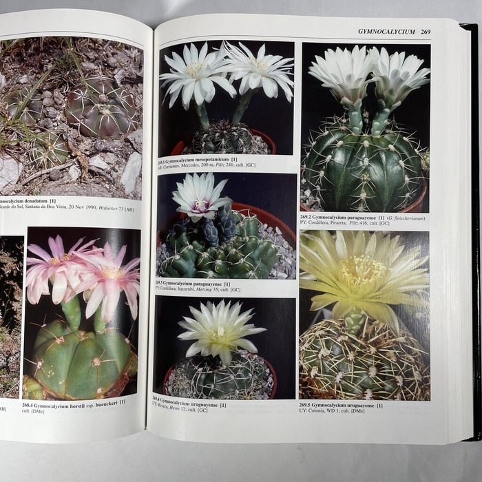 2026-03-25_17-21-01_097