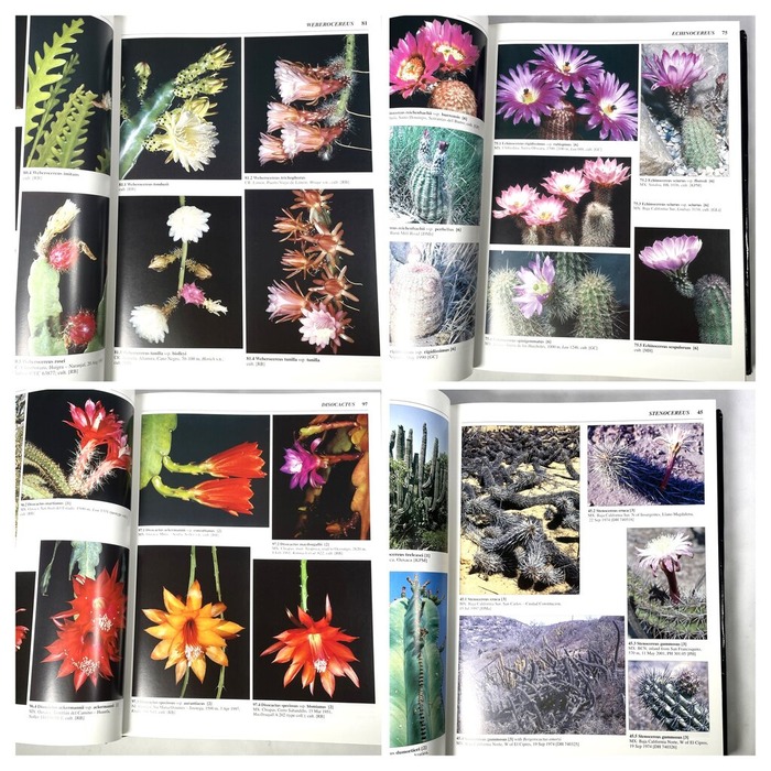 676819FE-48E4-4A01-A913-9BBAAF134198-COLLAGE