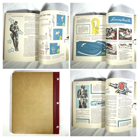 022EAEA9-8FAF-4333-B10F-390D5783E7D8-COLLAGE