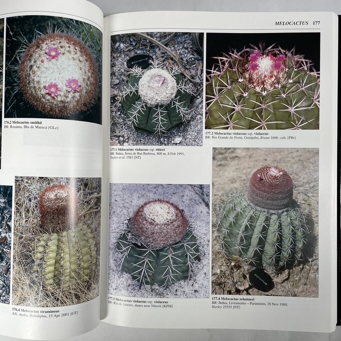 2026-03-25_17-19-36_201