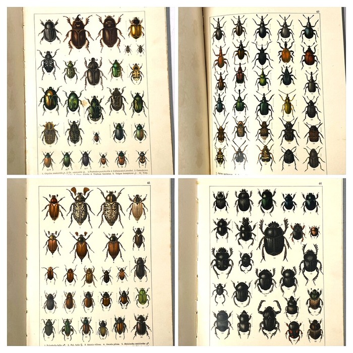 84482014-09A7-4D95-8887-7C87D7725B31-COLLAGE