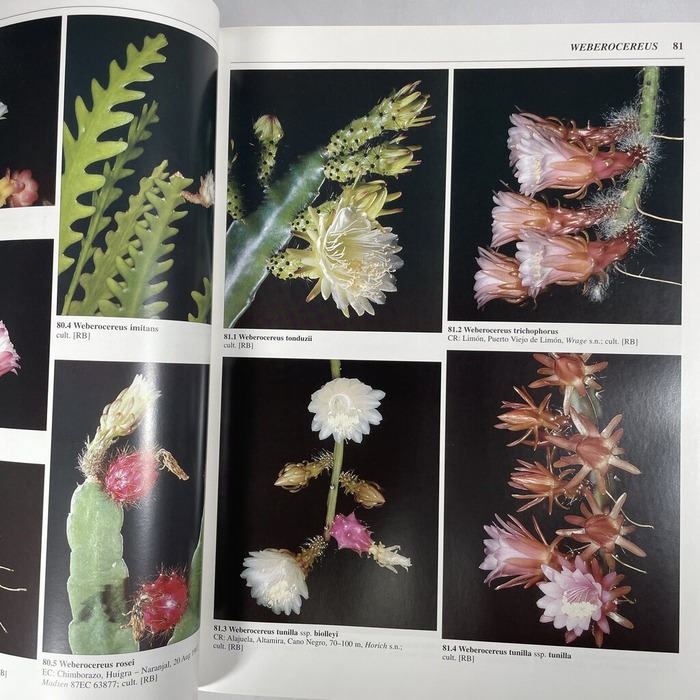 2026-03-25_17-18-56_117