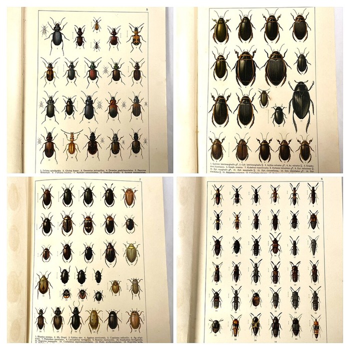 B240707C-BF1B-48B8-9155-0E1CCB39EF63-COLLAGE