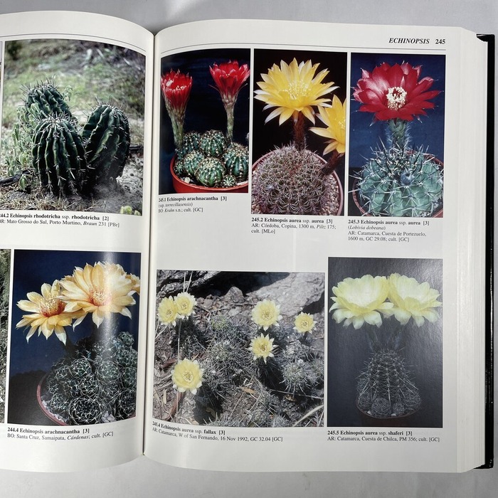 2026-03-25_17-20-46_428