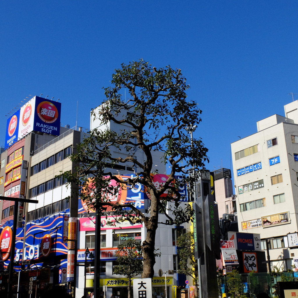 熟かつ亭 熟 という文字にはことさらに 東十条無頼