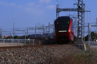 IMG_8981