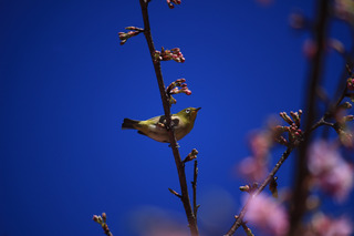 IMG_9187