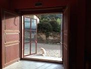Migratory Bird Inn 07