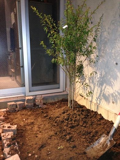 外構diy 23 裏庭 坪庭作業開始 空のみえる家 外構diy 23 裏庭 坪庭作業開始 空のみえる家