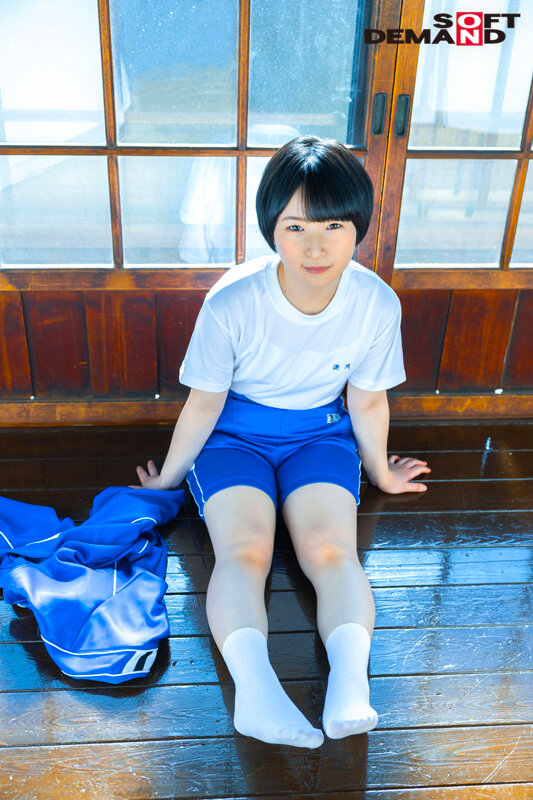 1sdab00251jp-2