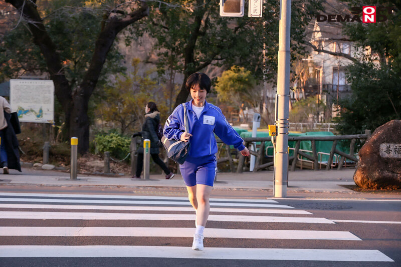 1sdab00251jp-11