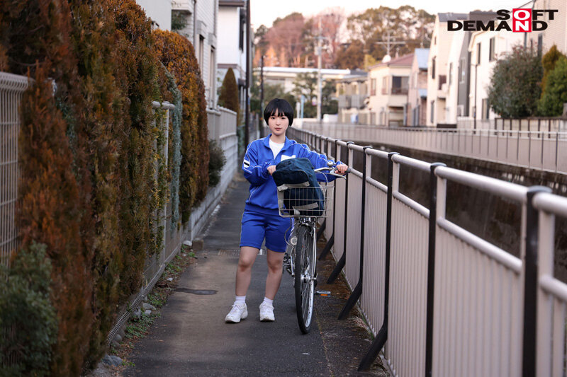 1sdab00251jp-12