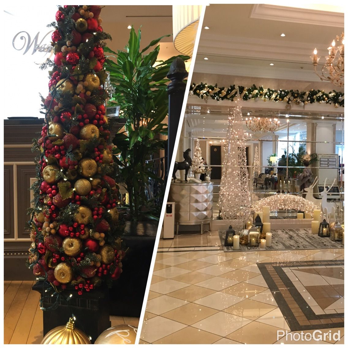 クリスマス鉄板焼き リトルリリーの美食探訪 クリスマス鉄板焼き リトルリリーの美食探訪