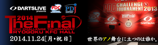 2014_the_final