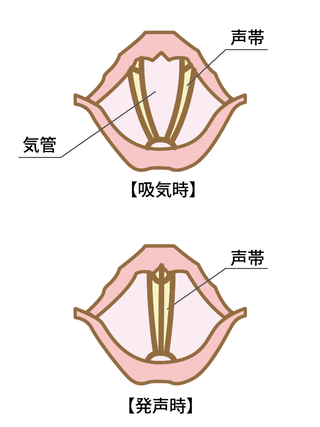 seitai1