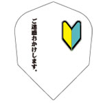 beginner_01
