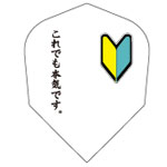 beginner_04