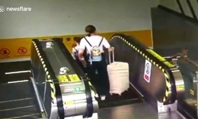 【動画】　エスカレーターで「旅行鞄」をうっかり落とすとこうなるｗｗ！！