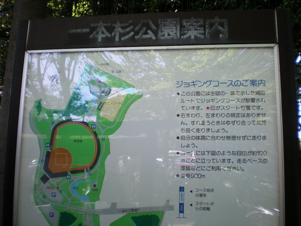 イメージ 8