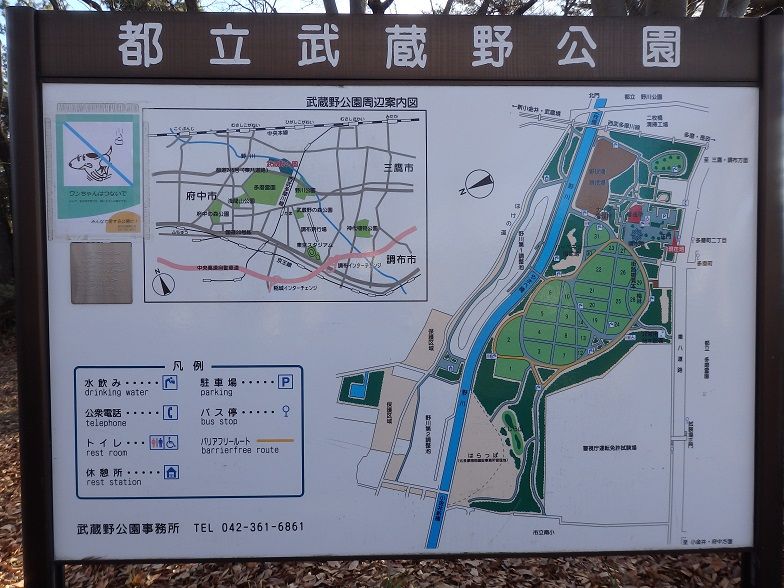 イメージ 15