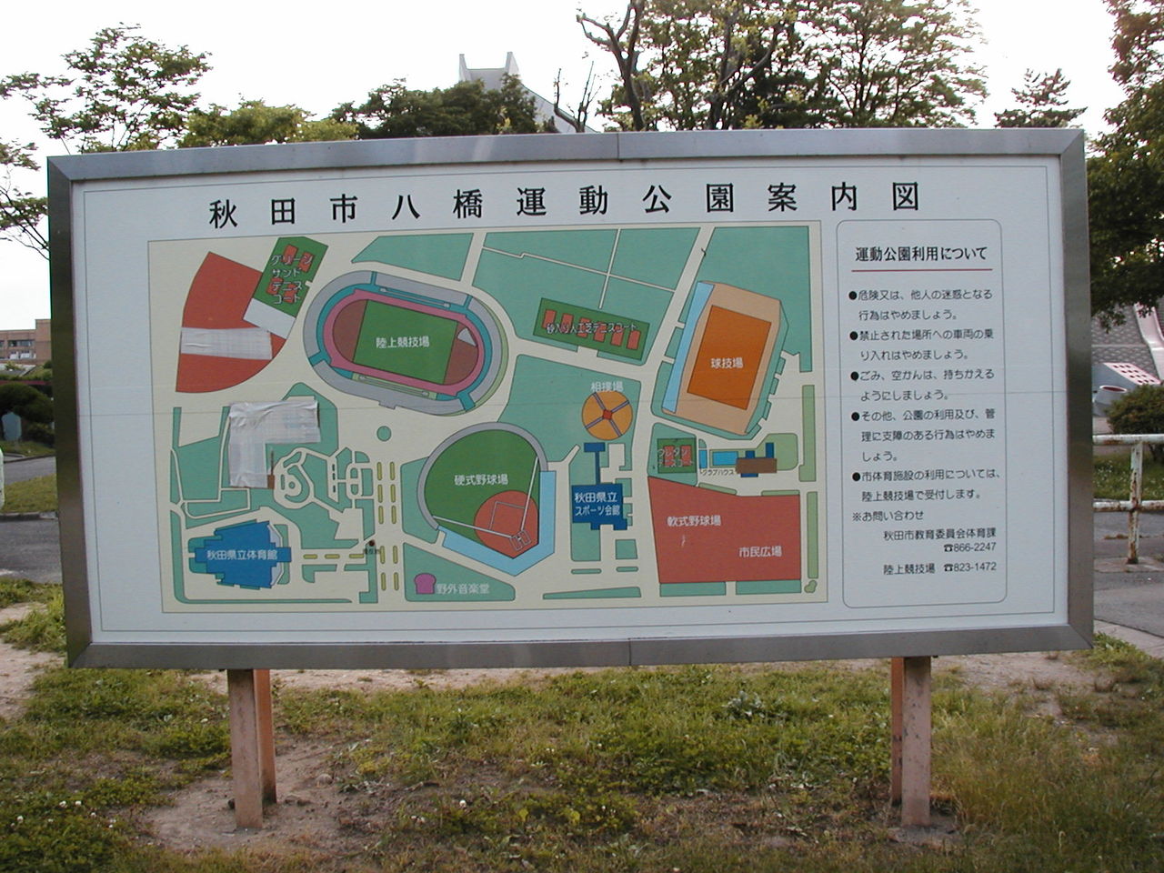 イメージ 8