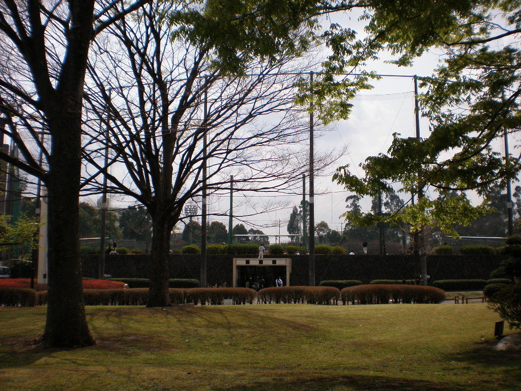 イメージ 5