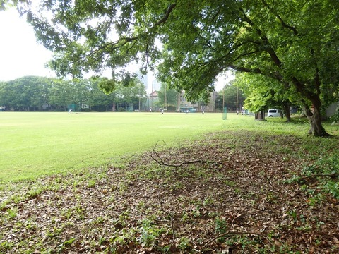 P5031687