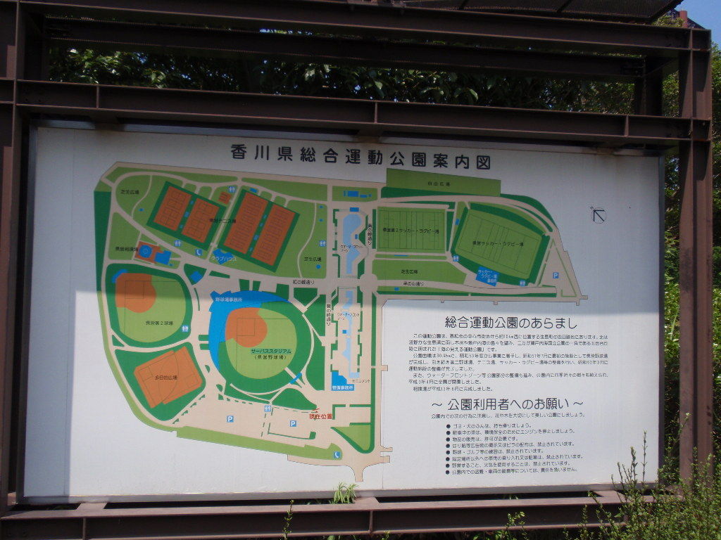 イメージ 9