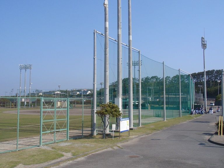 イメージ 5