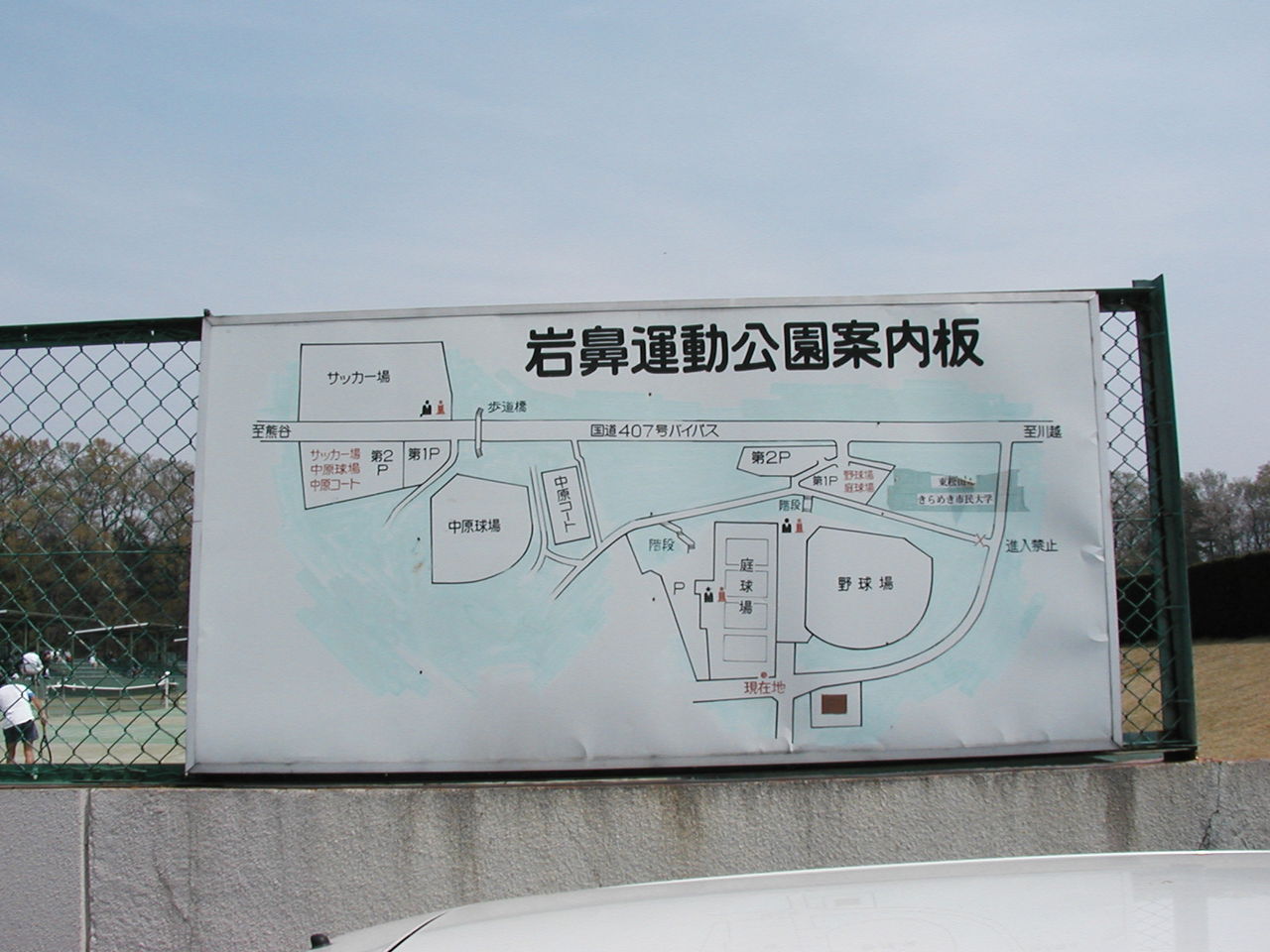 イメージ 8
