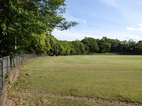 P5093675