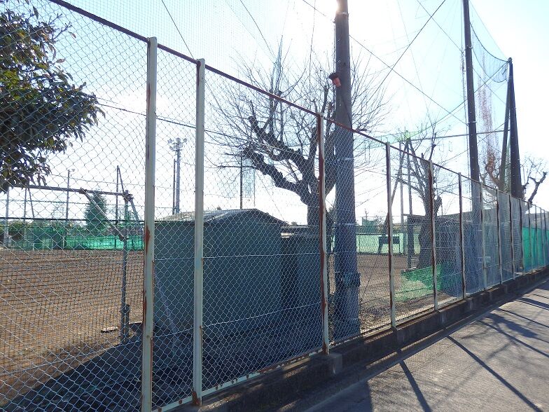 県立浦和北高等学校グラウンド 野球場巡り