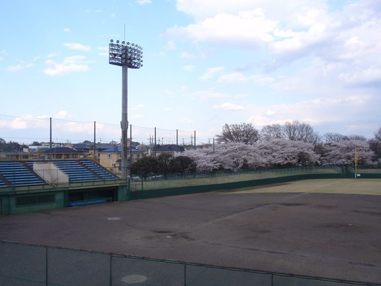 イメージ 10
