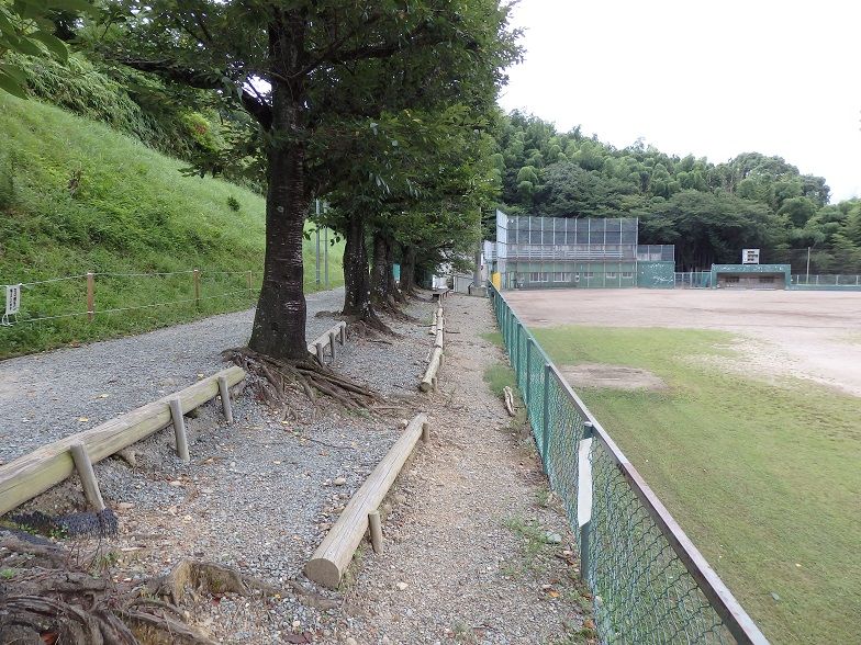 イメージ 9