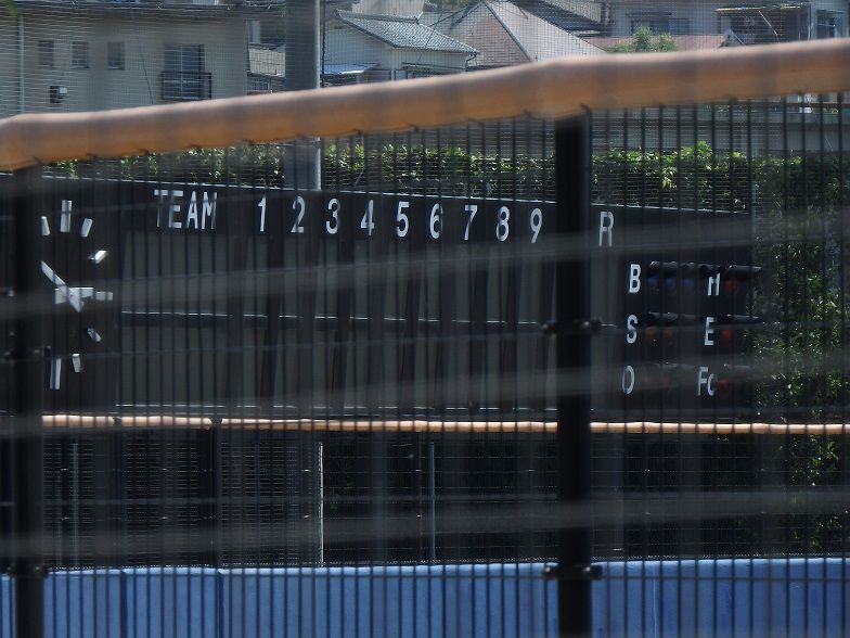 イメージ 6