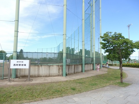 P5093278