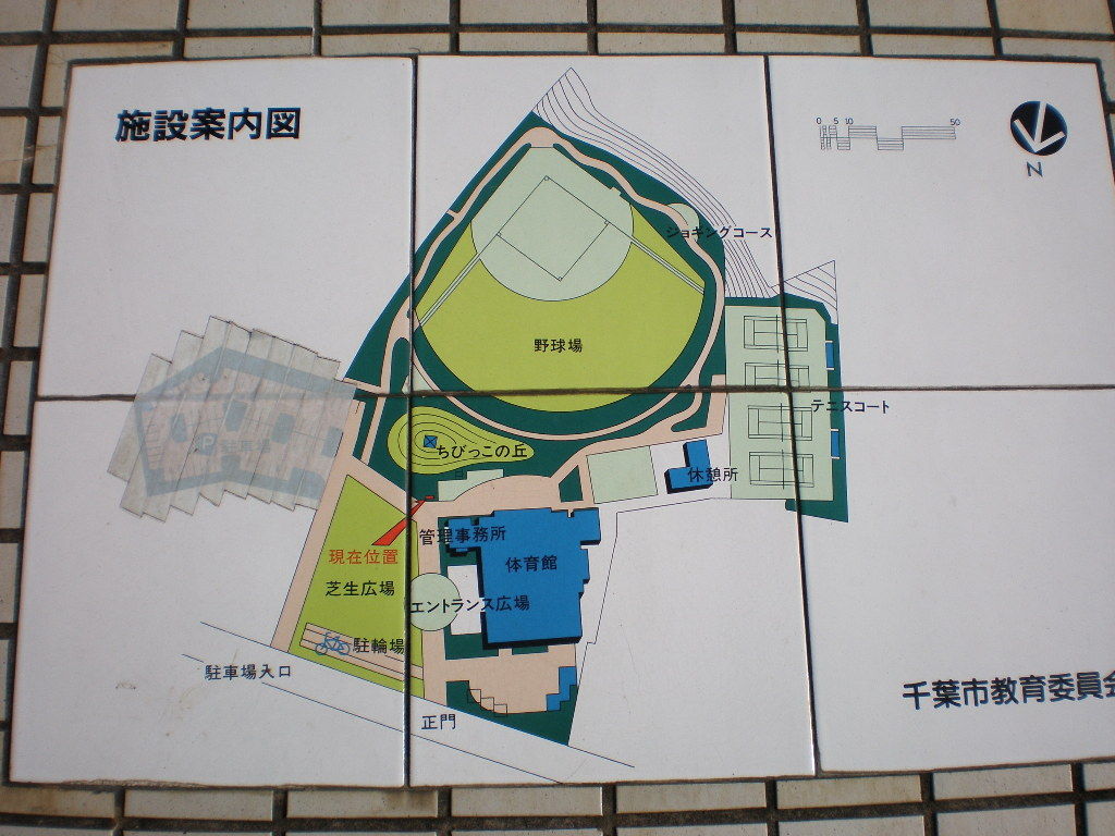 イメージ 5