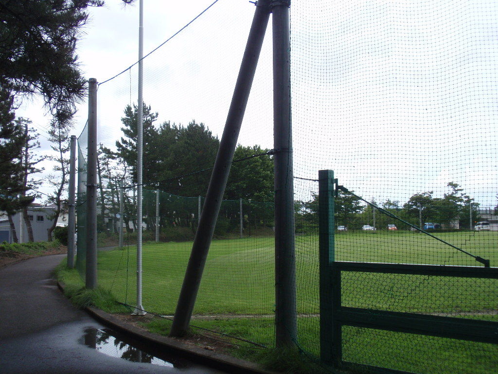 イメージ 9