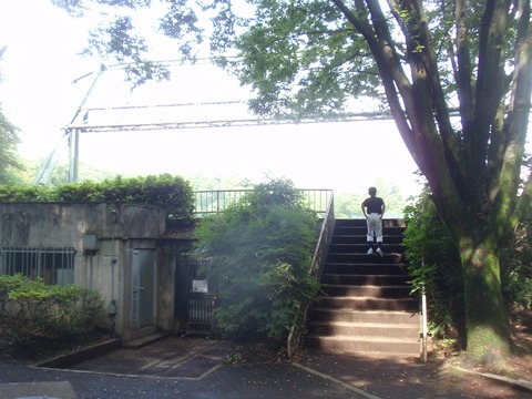 P6020147