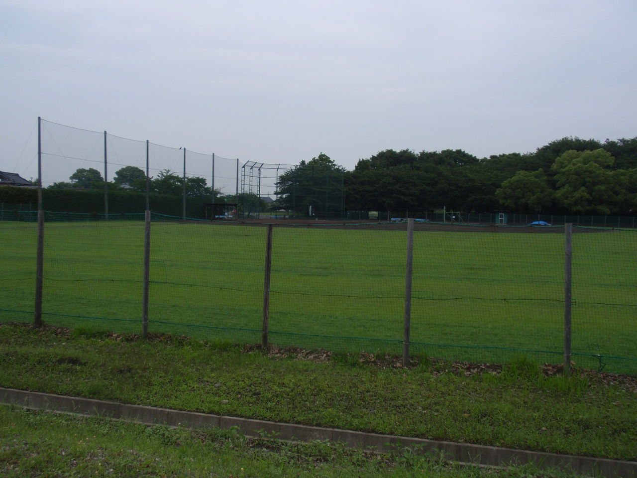 イメージ 9