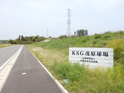 P4290674