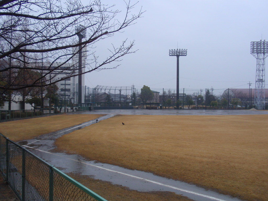 イメージ 16