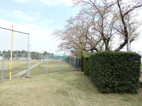 P4040133