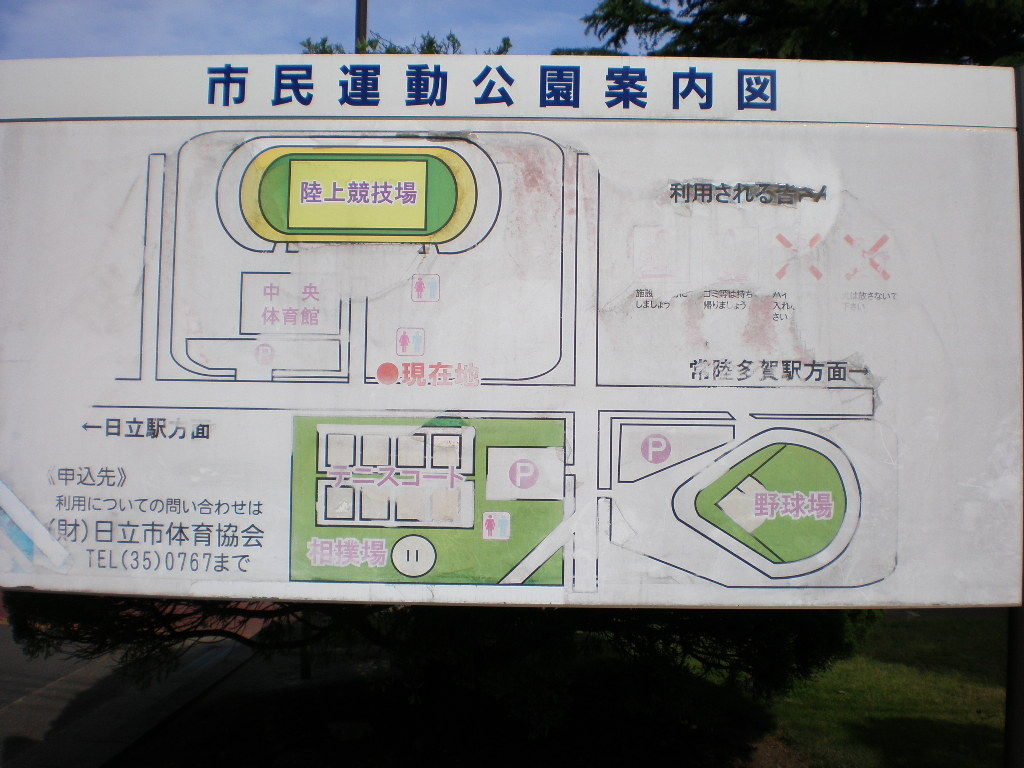 イメージ 12